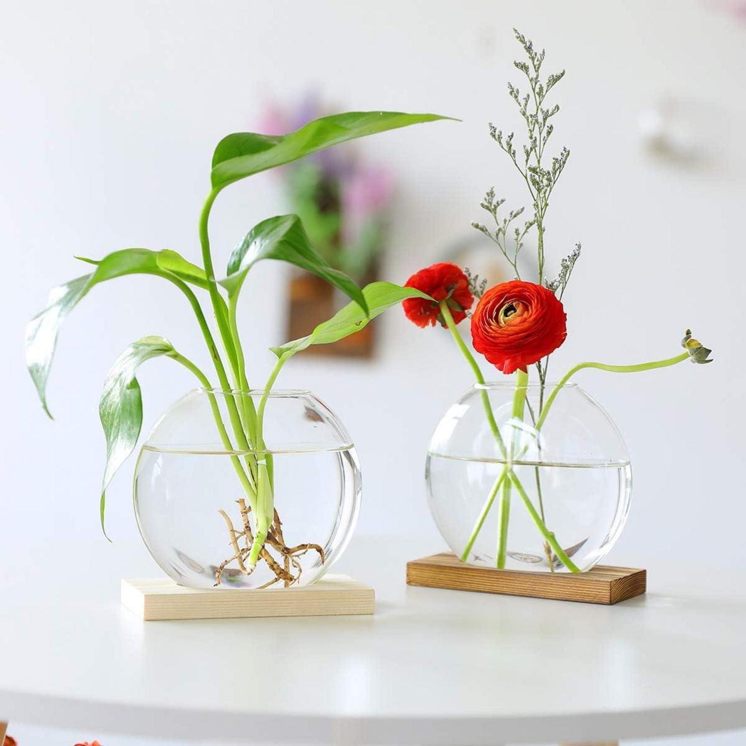 Tischplatte Glas Pflanzer 2er Set Hydroponik Blumen Vase Holz