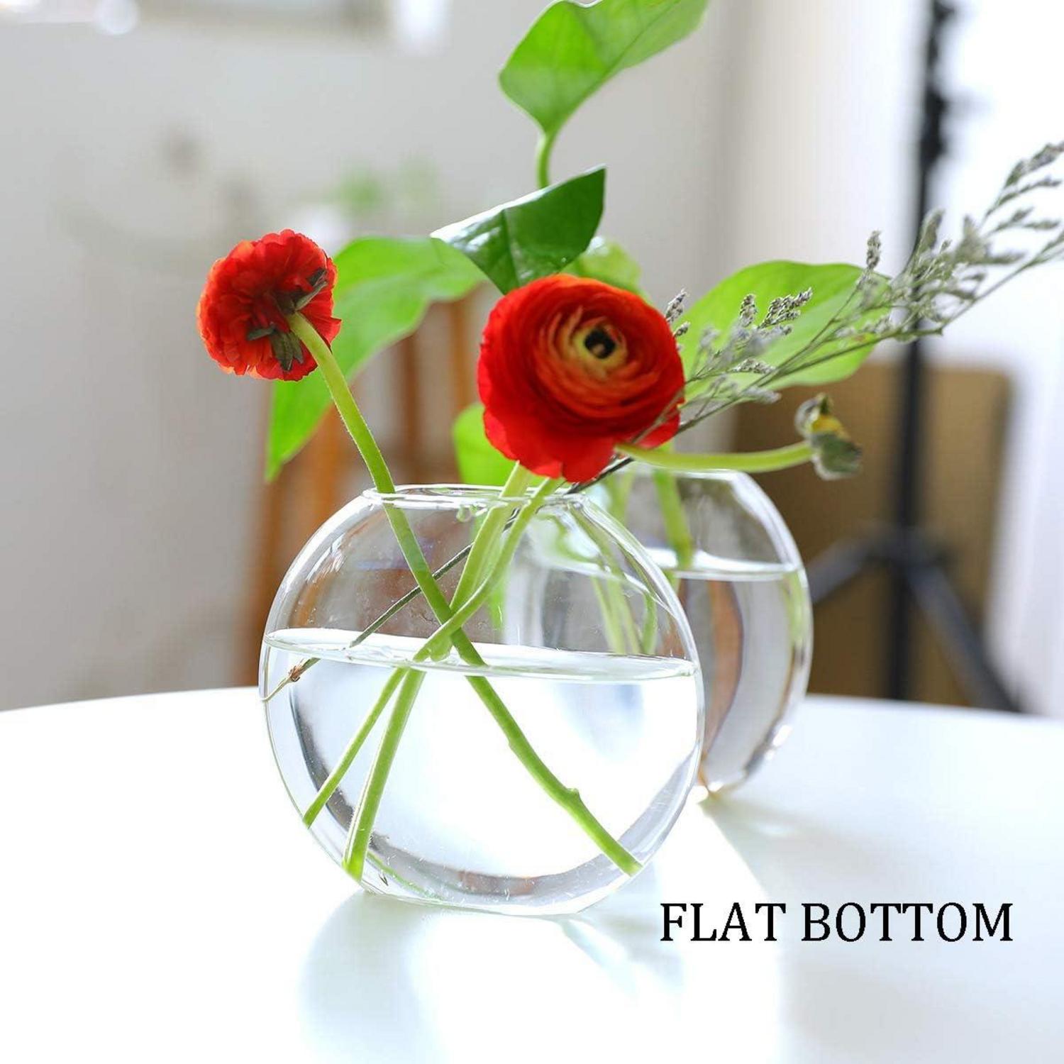 Moderne Glas Pflanzer Vasen 2er Set Hydroponik Stecklinge Home Decoration