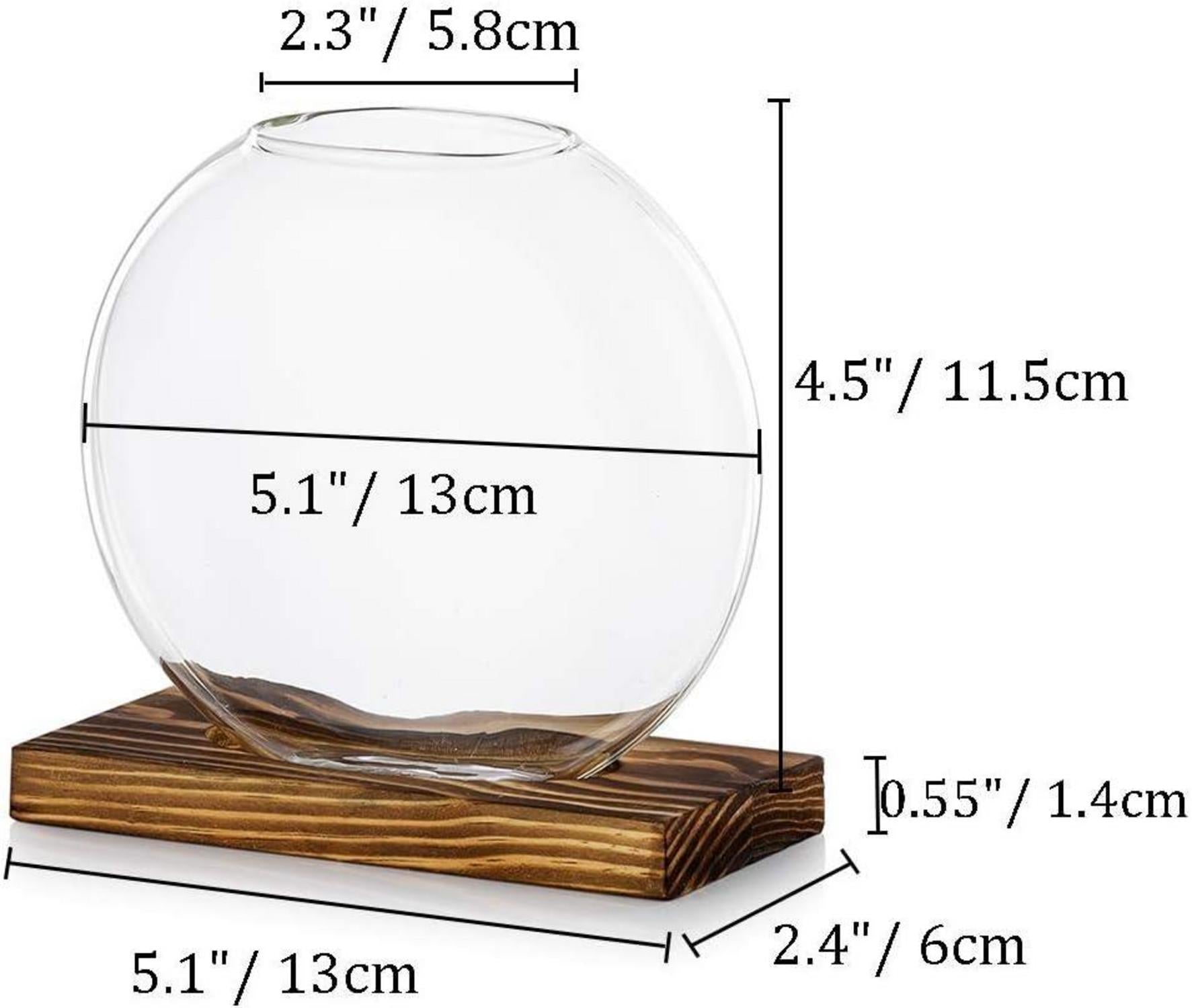 Tischplatte Glas Pflanzer 2 Stk Moderne Blumen Vase Hydroponik
