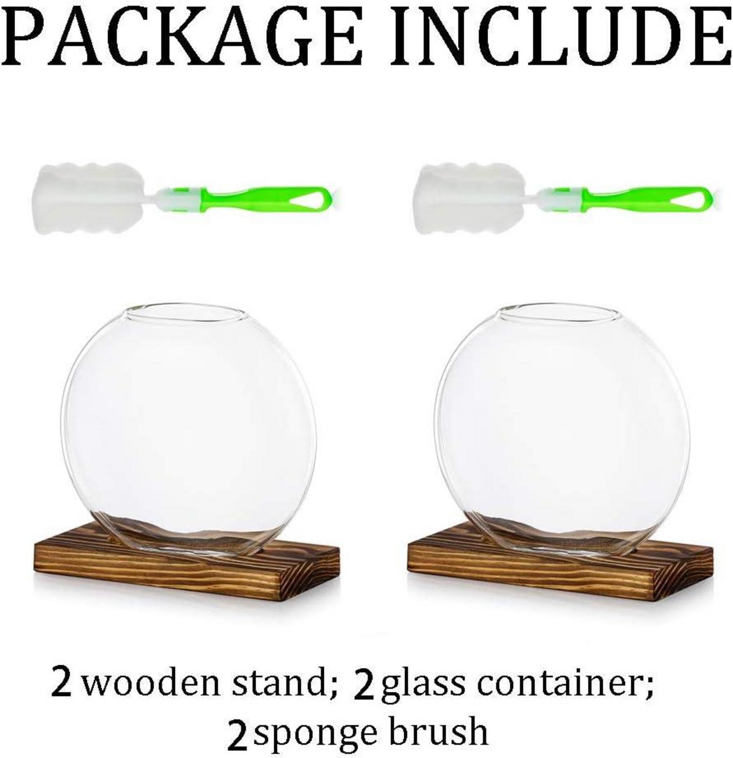 Moderne Glas Pflanzer Vasen 2er Set Hydroponik Stecklinge Home Decoration