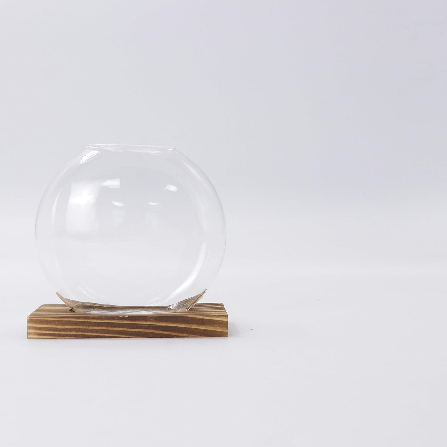 Moderne Glas Pflanzer Set für Hydroponik und Stecklinge