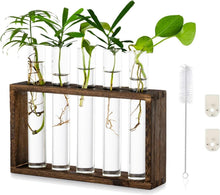Moderne Glasvase Deko Set Vintage Blumen Reagenzgläser Holzstation