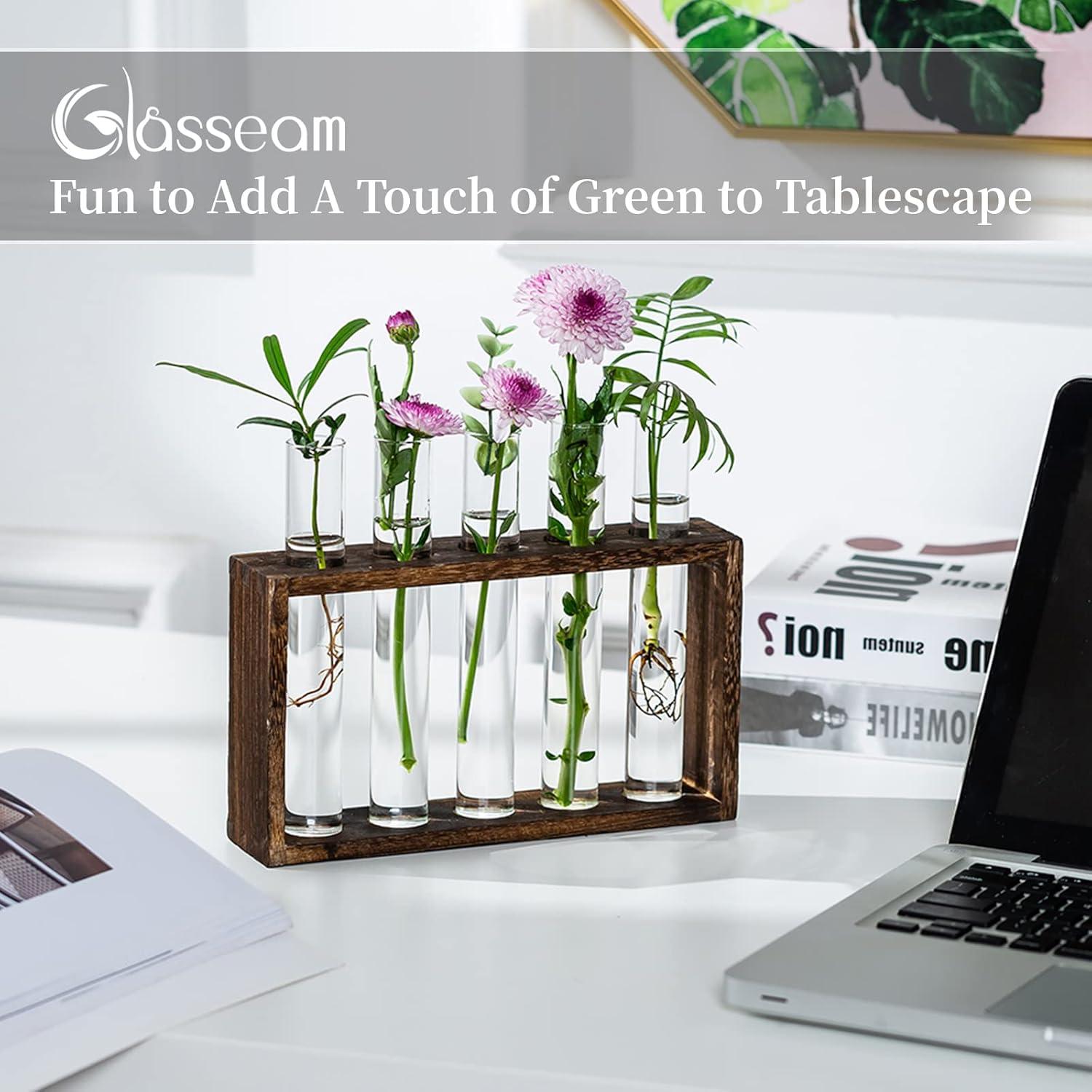 Moderne Glasvase Deko Set Vintage Blumen Reagenzgläser Holzstation