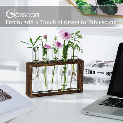 Moderne Glasvase Deko Set Vintage Blumen Reagenzgläser Holzstation