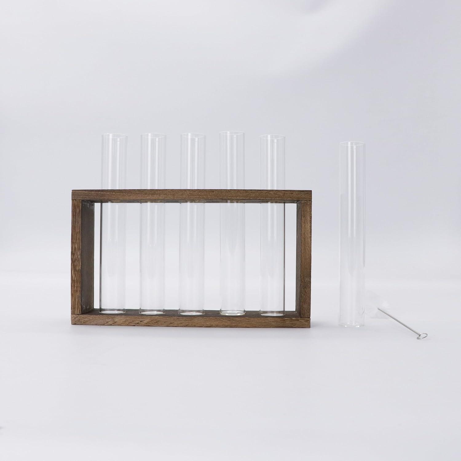 Blumenvase Vintage Glas Reagenzgläser Holzständer Set 6 Vasen
