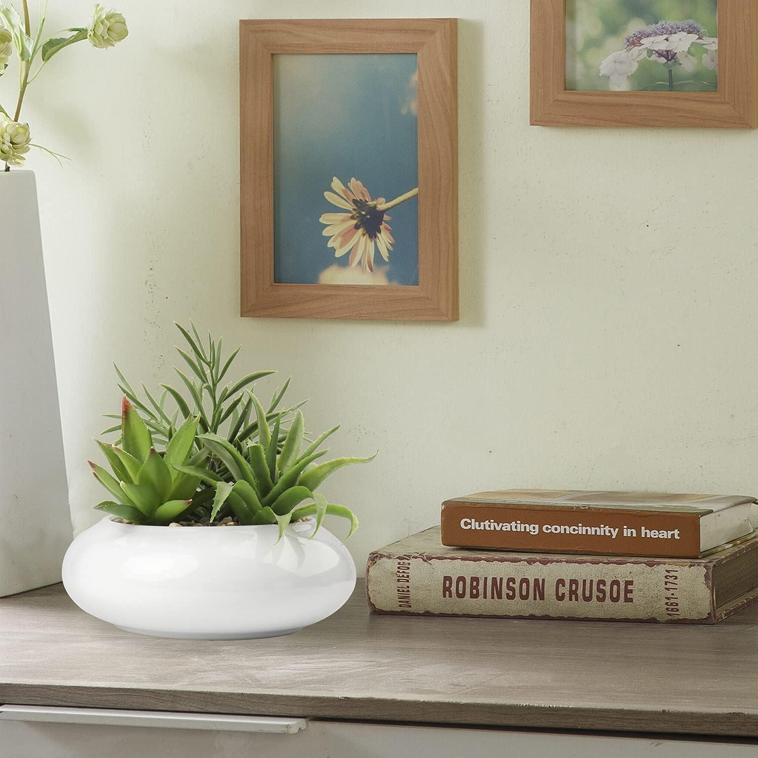 Kunstpflanze Sukkulenten Arrangement Zimmerpflanze Keramiktopf 18cm