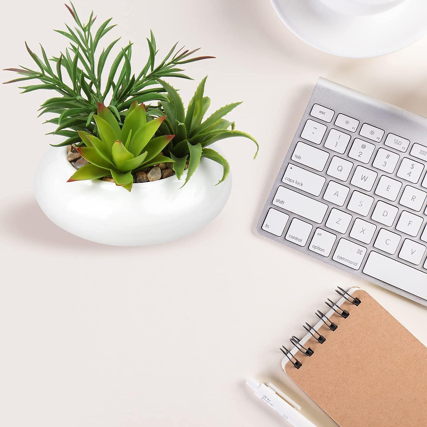 Künstliche Sukkulenten Keramiktopf Zimmerpflanze Deko 18 cm