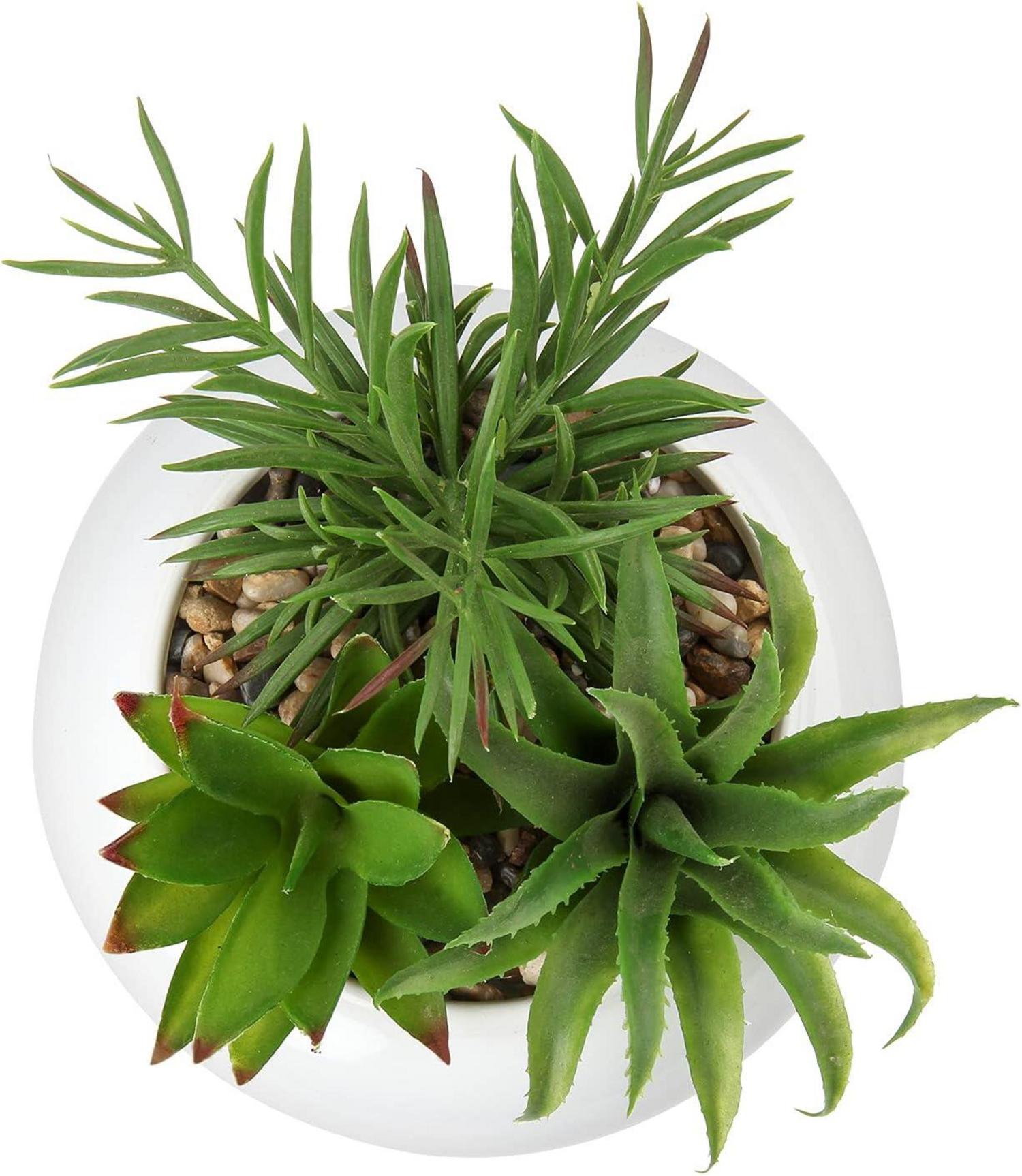 Kunstpflanze Künstliche Sukkulenten Pflanze Keramiktopf Deko 18 cm