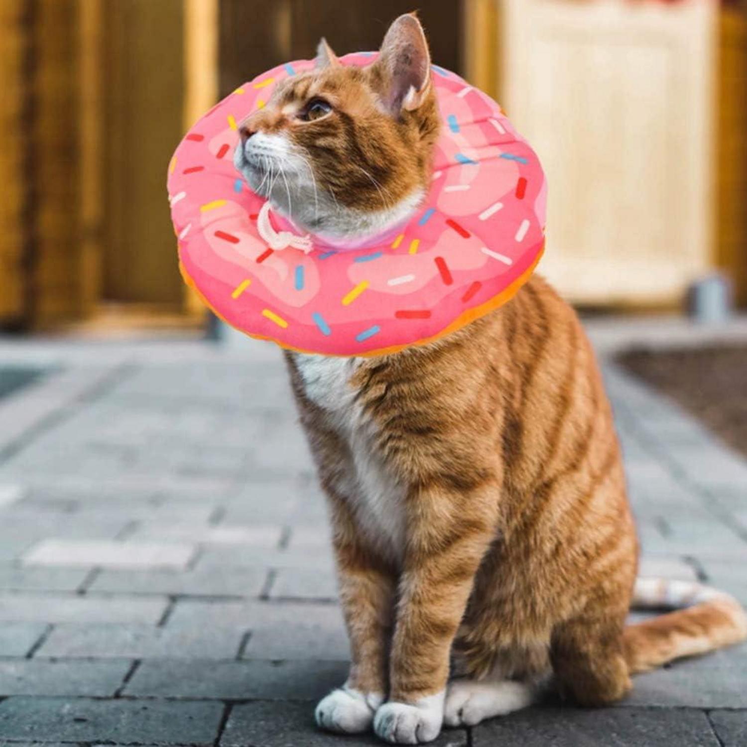 Halskrause Katzen Halsband Weich Schutzkragen Rosa Donut