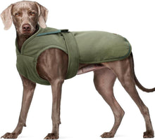 Reflektierender Hundemantel für kleine bis mittelgroße