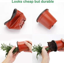 Anzuchttöpfe 30 Stück 10cm Pflanztöpfe mit