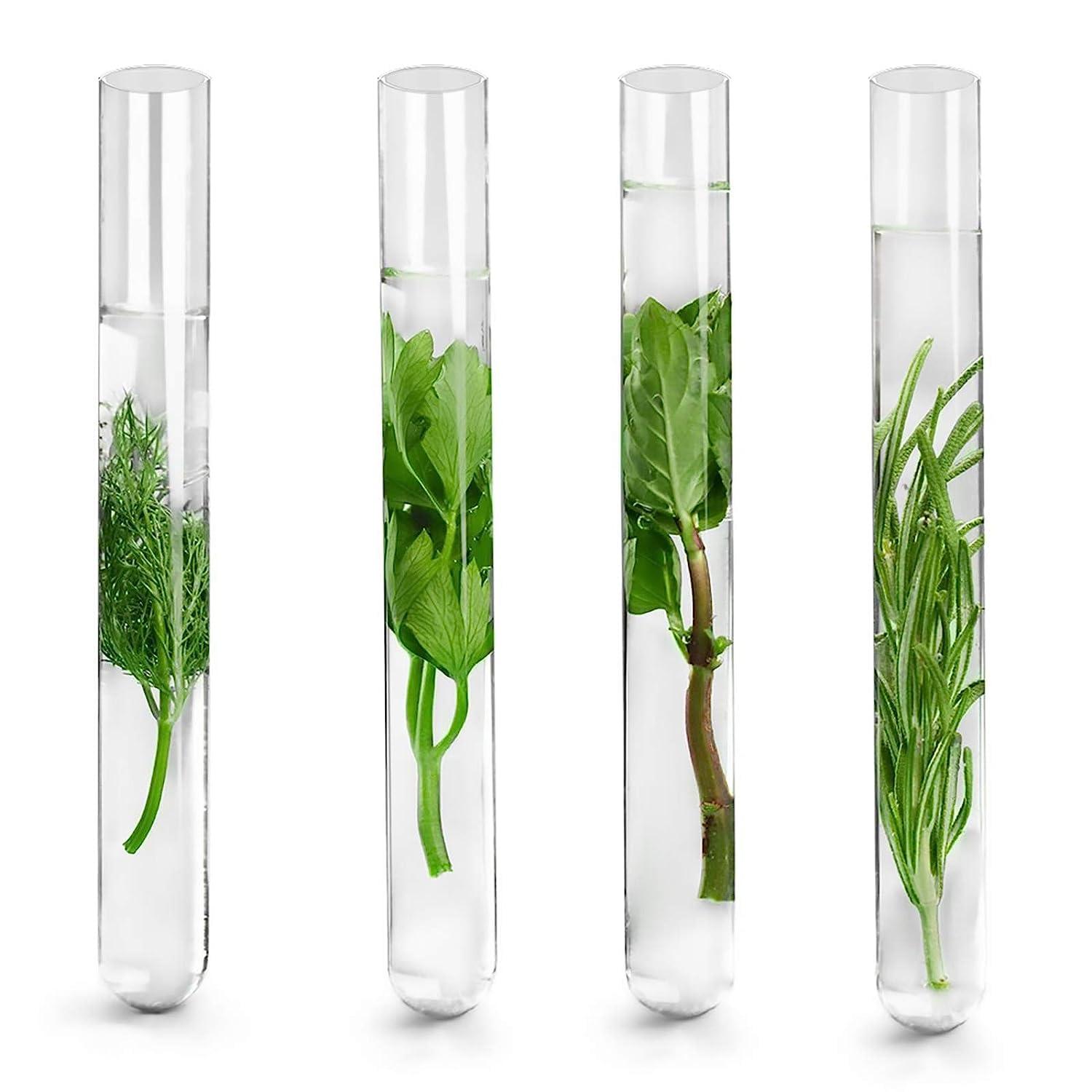Faburo Reagenzgläser Kunststoff Transparent Korken 150x16 mm 20 ml
