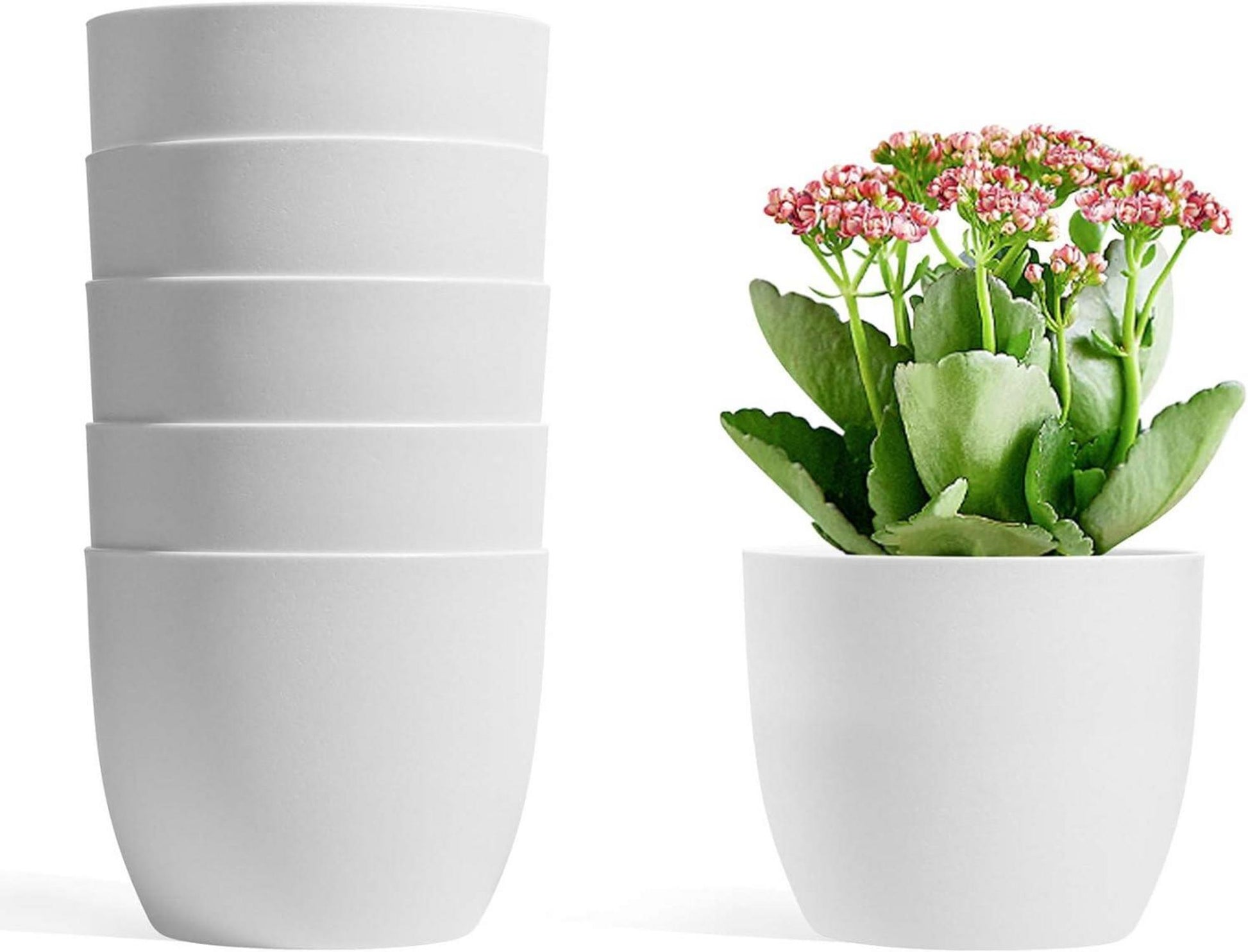 T4U 12cm Übertopf Set 6er Blumentöpfe für Zimmerpflanzen Orchideen