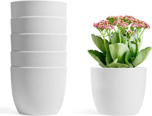 T4U 12cm Übertopf Set 6er Blumentöpfe für Zimmerpflanzen Orchideen