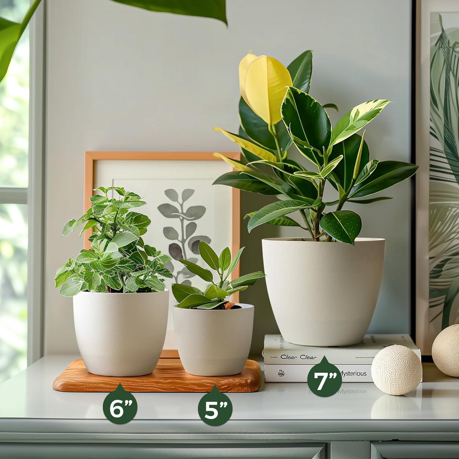T4U 12cm Übertopf Set 6er Blumentöpfe für Zimmerpflanzen Orchideen