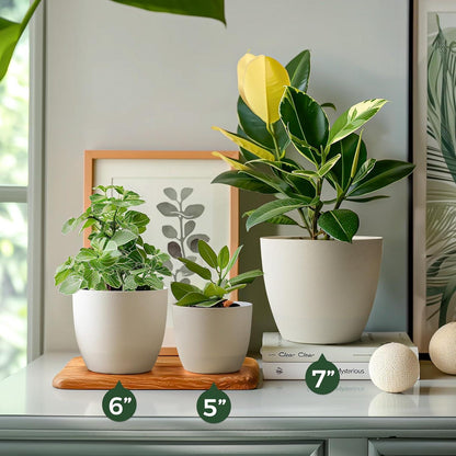 T4U 12cm Übertopf Set 6er Blumentöpfe für Zimmerpflanzen Orchideen