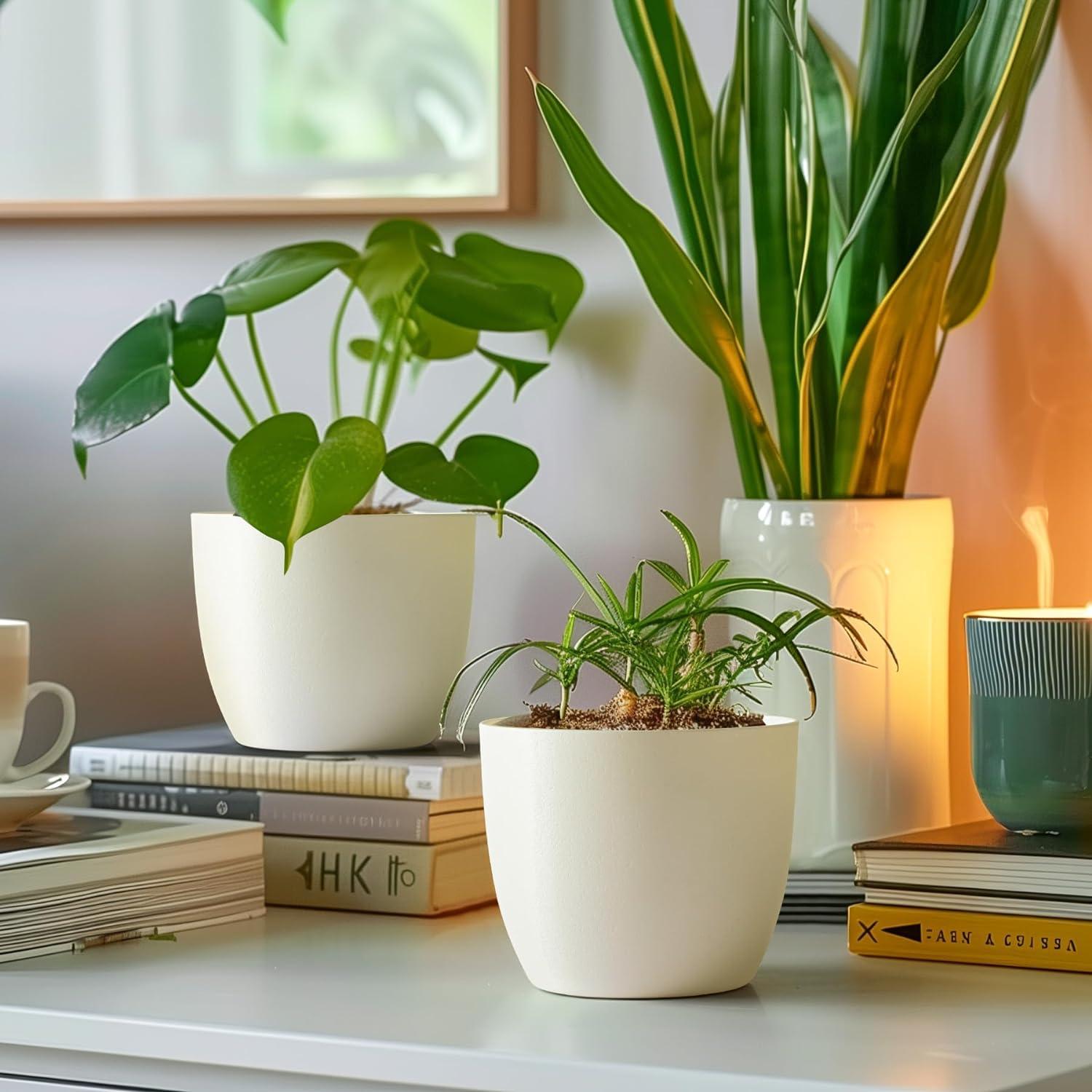 T4U 12cm übertöpfe für zimmerpflanzen 6 Stück, Orchideen Basilikum Kräuter Blumentopf Plastik Set