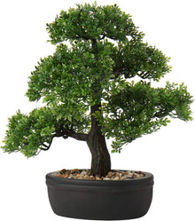 Kunstbonsai Zeder Kiefer Podocarpus Schwarz Keramikübertopf