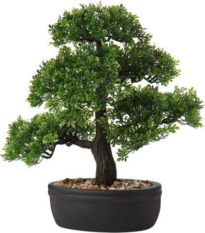 Kunstbonsai Zeder Kiefer Podocarpus Schwarz Keramikübertopf