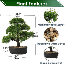 Kunstbonsai Podocarpus Zeder Kiefer 30x36cm Schwarz