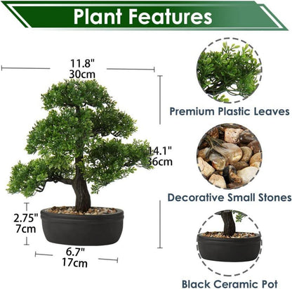 Kunstbonsai Podocarpus Zeder Kiefer 30x36cm Schwarz