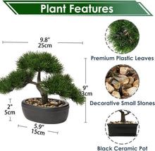 Kunstbonsai Kiefer Zeder Künstliche Pflanze Keramik-Übertopf