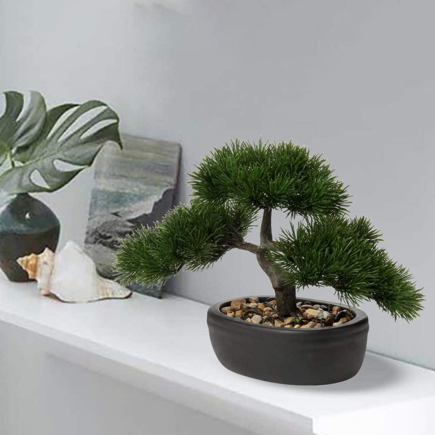 Kunstbonsai Zeder Kiefer Podocarpus - Naturgetreu mit Keramikübertopf - Deko für Fensterbank Büro 25 x 23 cm