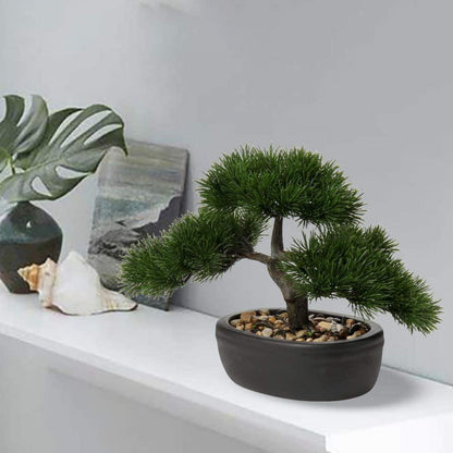 Kunstbonsai Zeder Kiefer Podocarpus - Naturgetreu mit Keramikübertopf - Deko für Fensterbank Büro 25 x 23 cm
