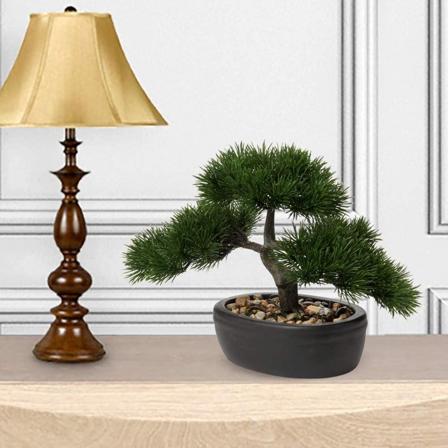 Künstlicher Kunstbonsai Zeder Kiefer Podocarpus Schwarz Keramik 25x23cm