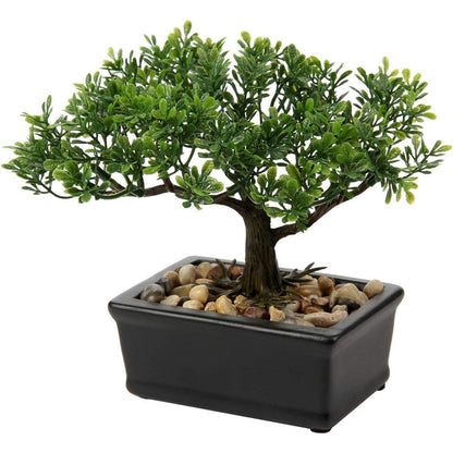 Kunstbonsai Podocarpus Zeder Künstliche Pflanze 18x16 cm