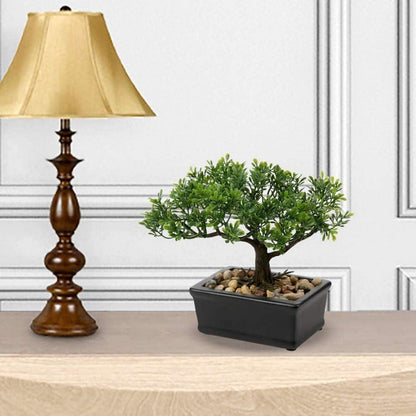 Kunstbonsai Podocarpus Zeder Künstliche Pflanze 18x16 cm