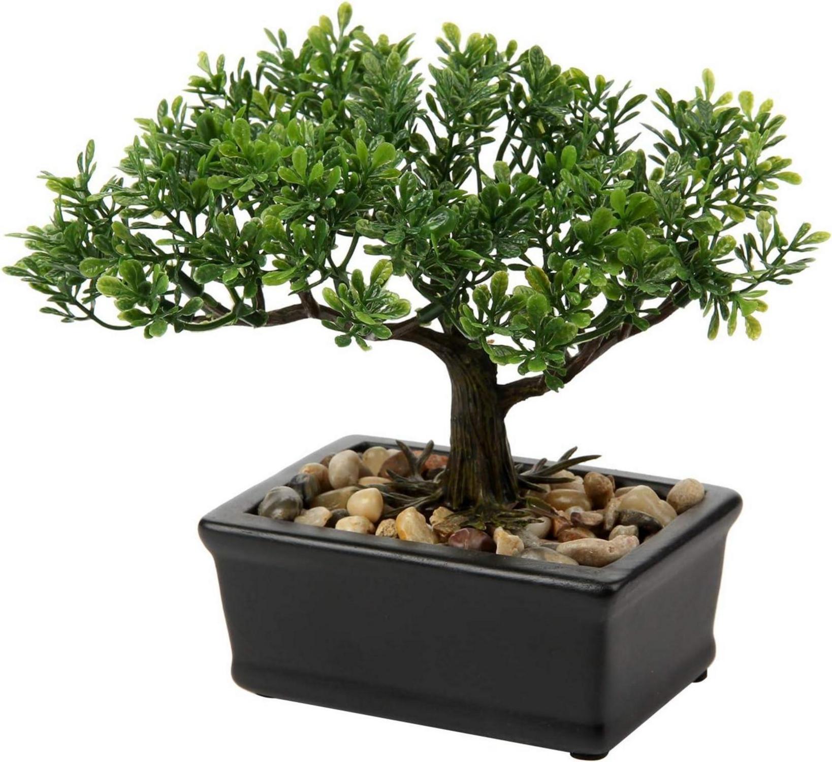 Kunstbonsai Künstlicher Bonsai Podocarpus mit Keramiktopf Schwarz