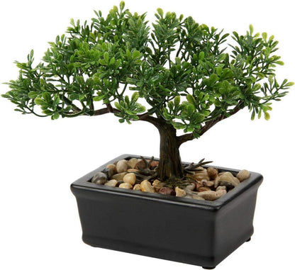 Kunstbonsai Künstlicher Bonsai Podocarpus mit Keramiktopf Schwarz