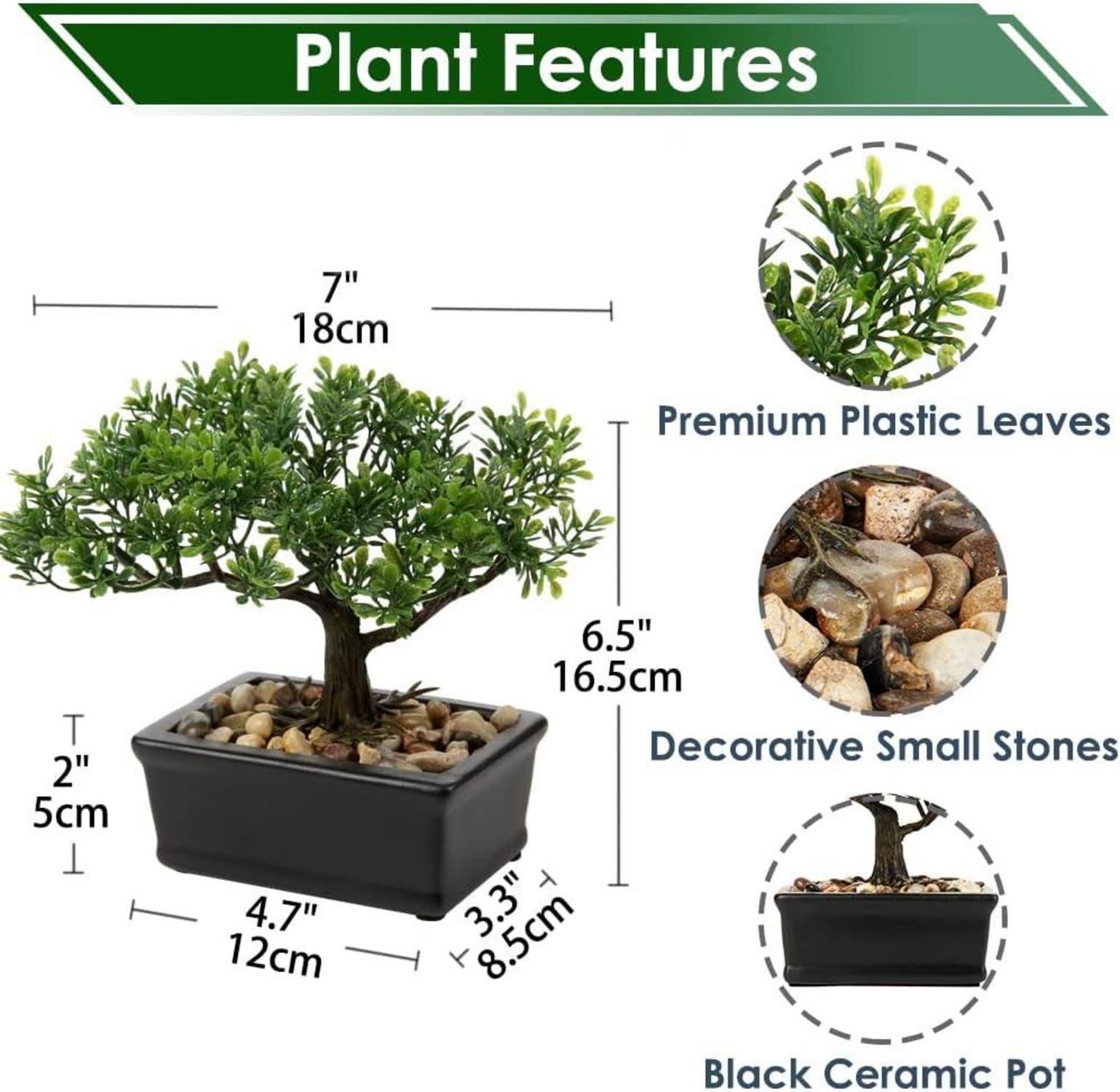 Kunstbonsai Podocarpus Zeder Künstliche Pflanze 18x16 cm