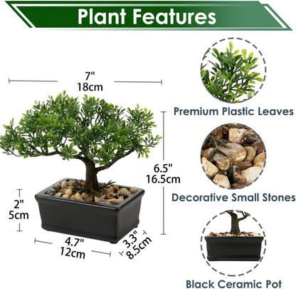 Kunstbonsai Podocarpus Zeder Künstliche Pflanze 18x16 cm