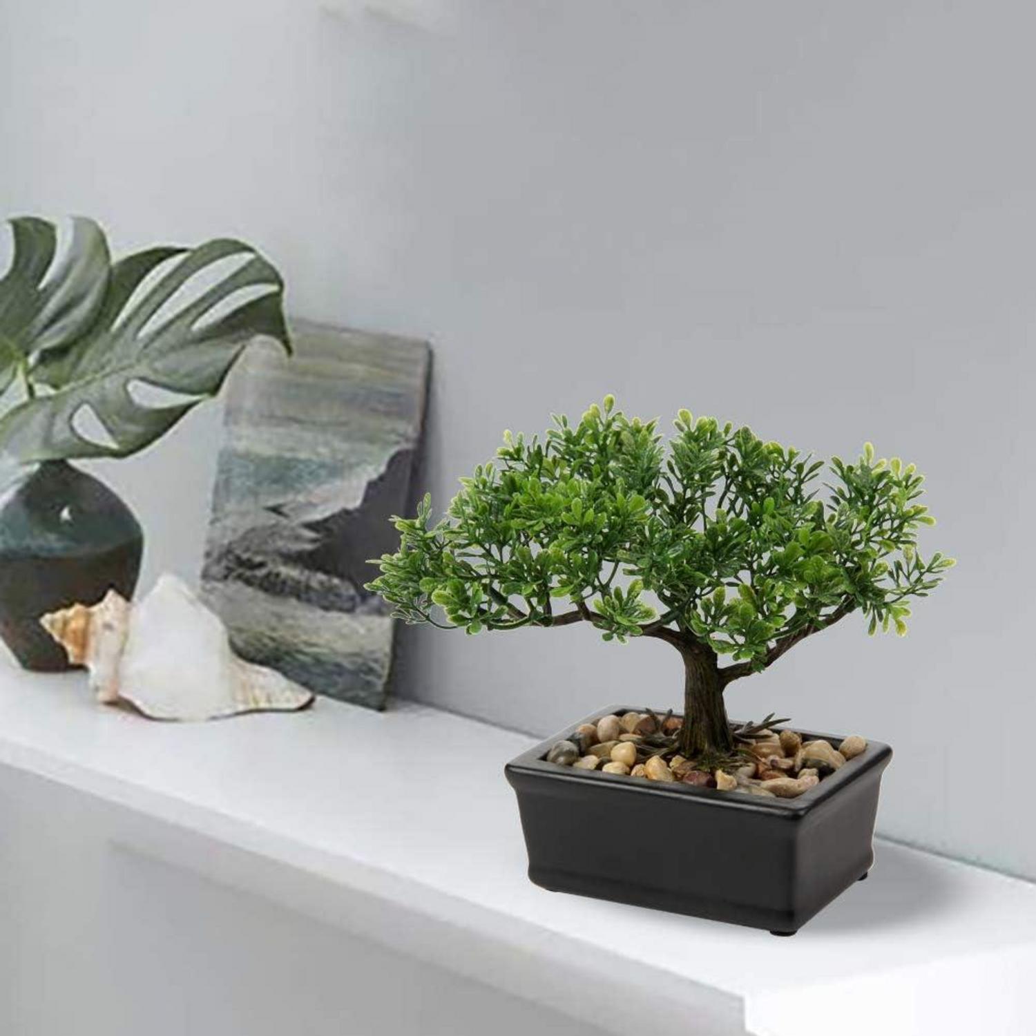 Kunstbonsai Künstlicher Bonsai Podocarpus mit Keramiktopf Schwarz