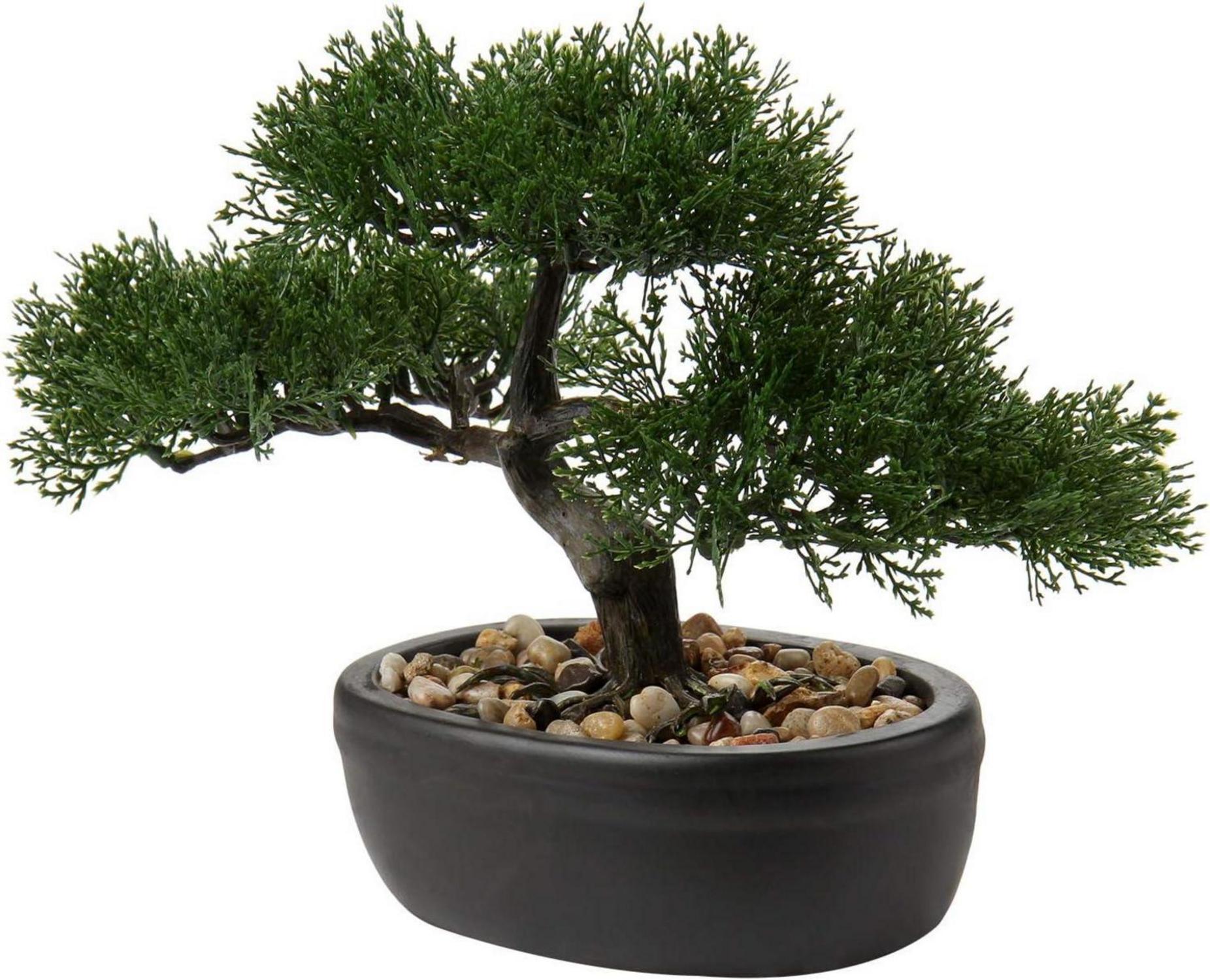 Kunstbonsai Zeder Künstliche Pflanze Keramik-Übertopf Schwarz