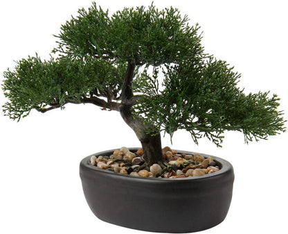 Kunstbonsai Zeder Künstliche Pflanze Keramik-Übertopf Schwarz