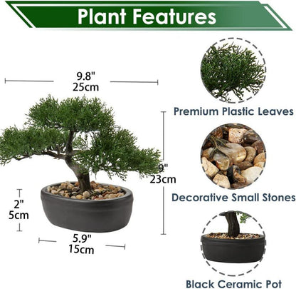 Kunstbonsai Zeder Schwarz Keramik-Übertopf 25 x 23 cm