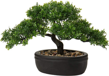 Kunstbonsai Zeder Kiefer Podocarpus Schwarz Keramik-Übertopf
