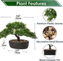 Kunstbonsai Podocarpus Zeder Künstliche Pflanze Schwarz