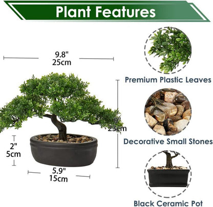 Kunstbonsai Podocarpus Zeder Künstliche Pflanze Schwarz