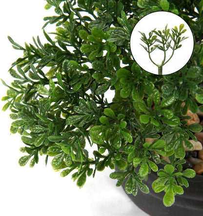 Kunstbonsai Zeder Podocarpus Schwarz Keramik-Übertopf 25x23cm