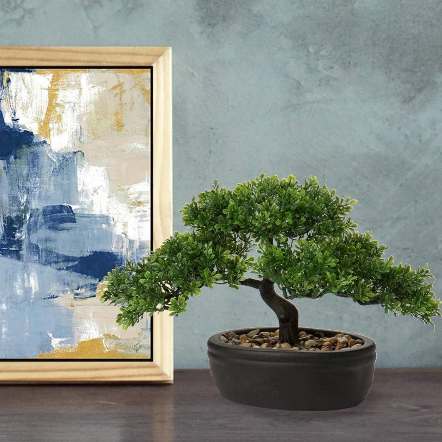 Kunstbonsai Zeder Podocarpus Künstliche Pflanze Schwarz Keramik 25 x