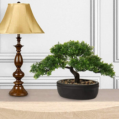 Kunstbonsai Zeder Podocarpus Schwarz Keramik-Übertopf 25x23cm