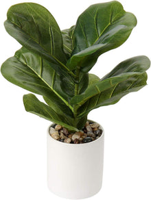 Kunstpflanze Monstera Ficus Lyrata Zimmerpflanze Dekoration