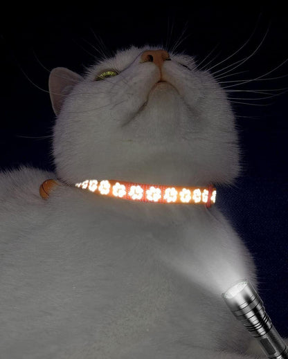 Taglory Reflektierendes Katzenhalsband mit Sicherheitsverschluss und