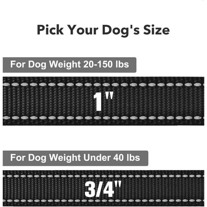 Taglory Hundeleine Mittelgroße Große Hunde Schwarz 1.2m x