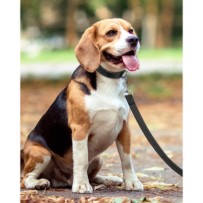 Taglory Hundeleine Mittelgroße Große Hunde Schwarz 1.2m x