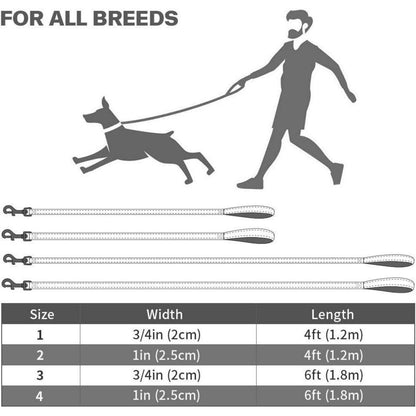 Taglory Hundeleine Mittelgroße Große Hunde Schwarz 1.2m x